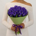 Ирисы фиолетовые